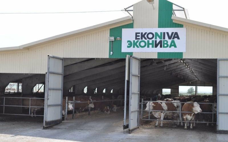 Сын Штефана Дюрра вошел в совет директоров «Эконивы»