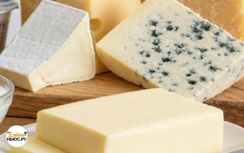 Сырный завод ТПК «Молпродукт» не удалось реализовать с торгов с первой попытки 