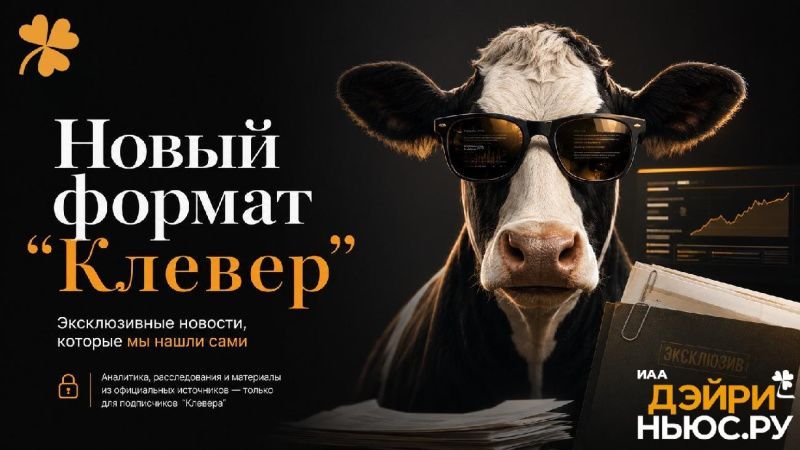Дэйриньюс запускает закрытую подписку «Клевер»
