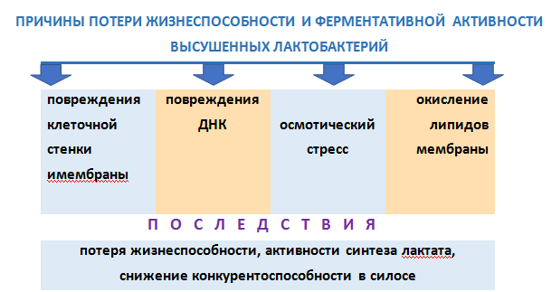 Безымянный1.png