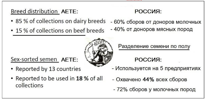 ввв.png