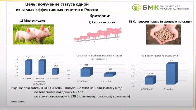 Рудь4.jpg