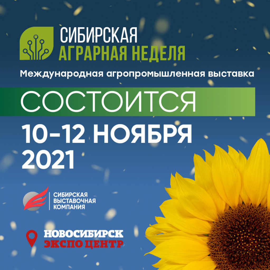 баннеры-60.jpg