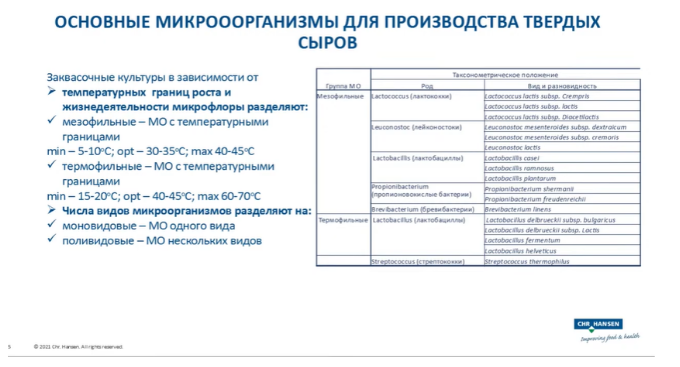 выв.png