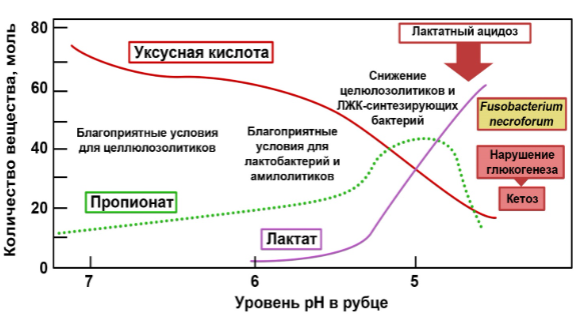 123.png 123.png