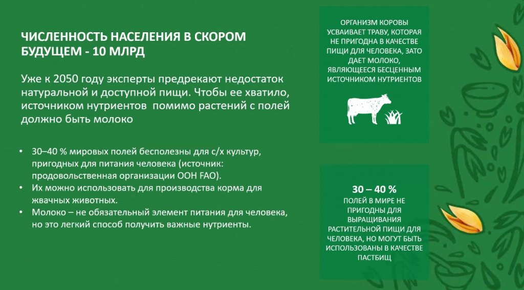 Valio_fut (1).jpg