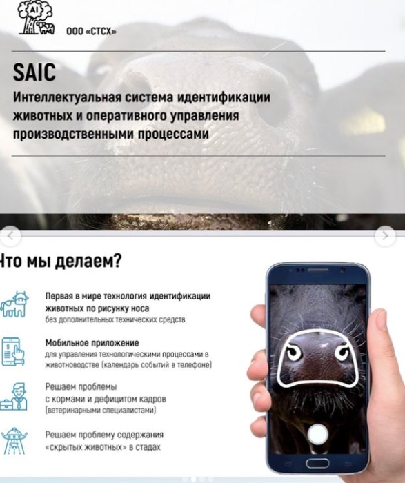 SAIC.jpg