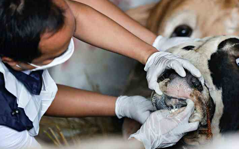 442421111112.png