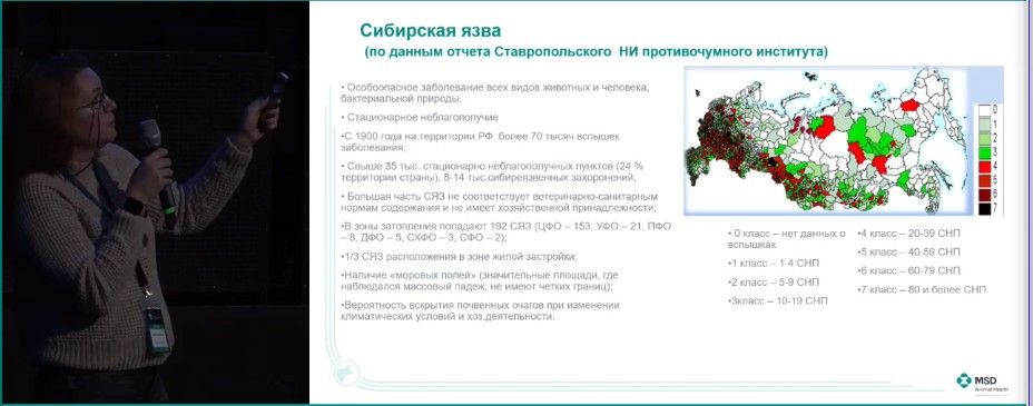 кровы язва.jpg