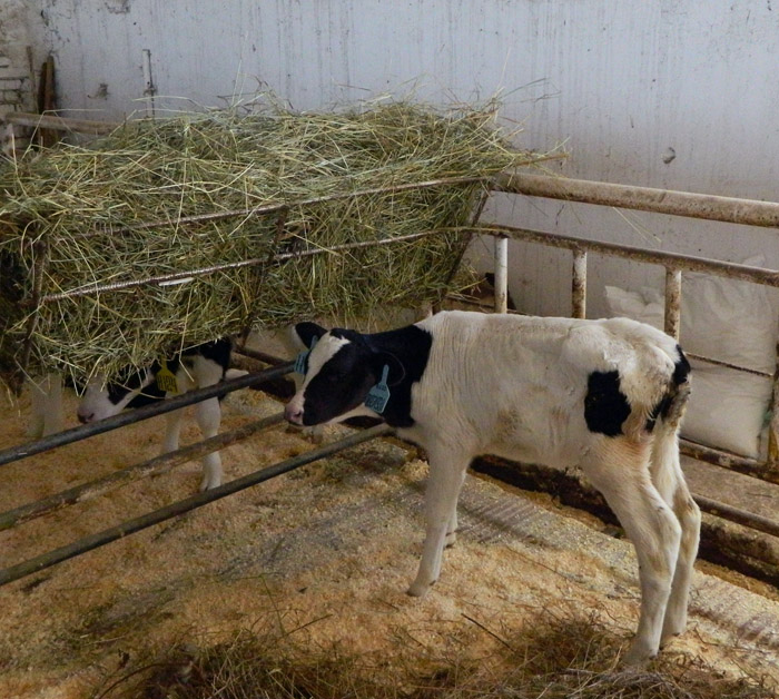 DSCN1450.jpg