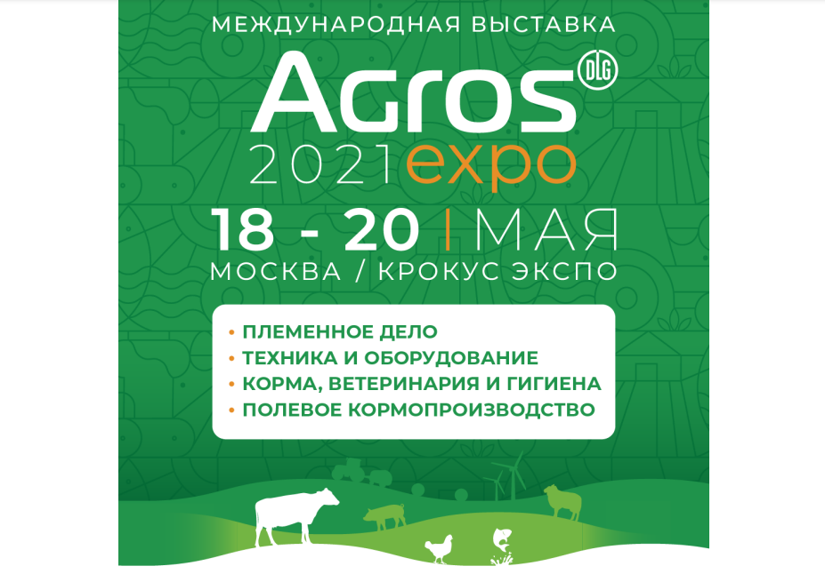 Безымянный.png Безымянный.png