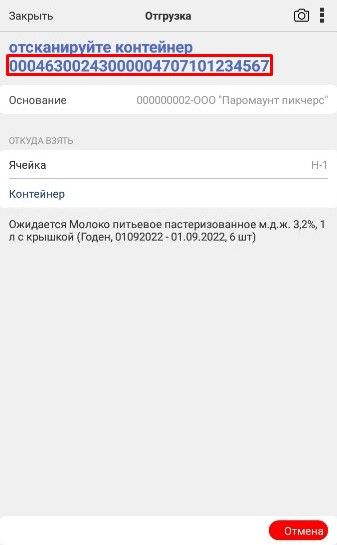 zadanie_na_skanirovanie_conteinera_comline.wms.jpg