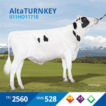 20201209-AltaTURNKEY.jpg