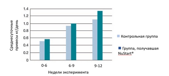 О13.jpg