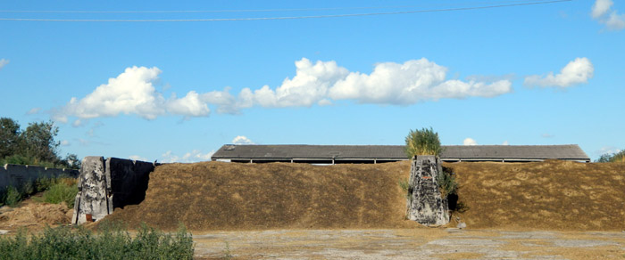 DSCN1358.jpg