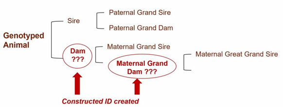 How constructed ID of dairy cows is created.png How constructed ID of dairy cows is created.png