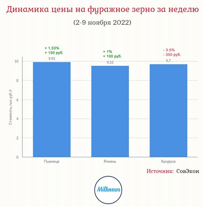 зерно.jpg