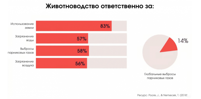 Безымянный.png Безымянный.png