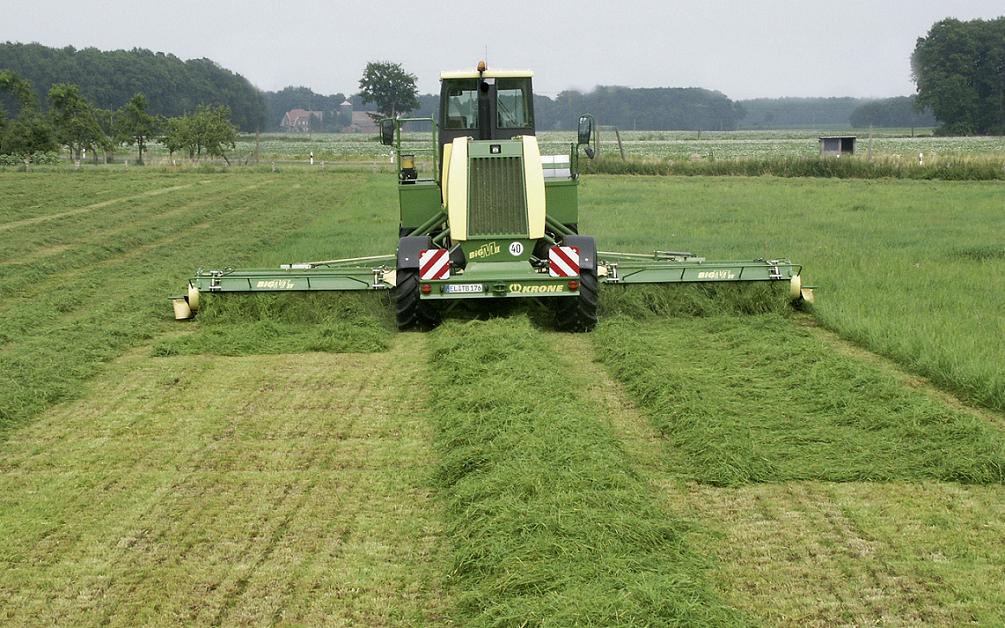 agri07_bigm_02.jpg