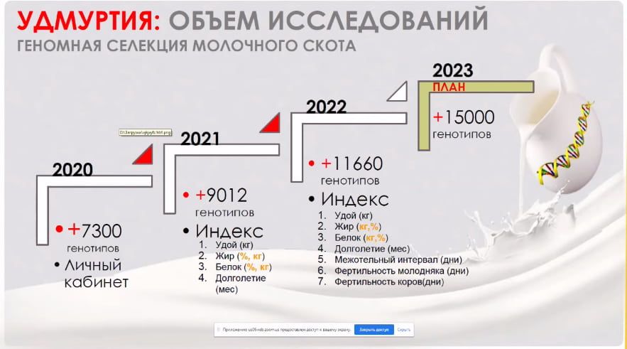 Удмуртия объем исследований геномная селекция племенного скота.jpg