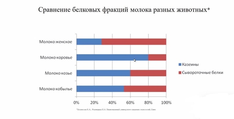 ViS8ZjE-SGQ (1).jpg
