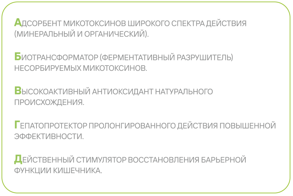 IMG_6414.PNG