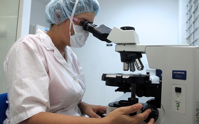 microscope-gb53df8ad5_640.jpg