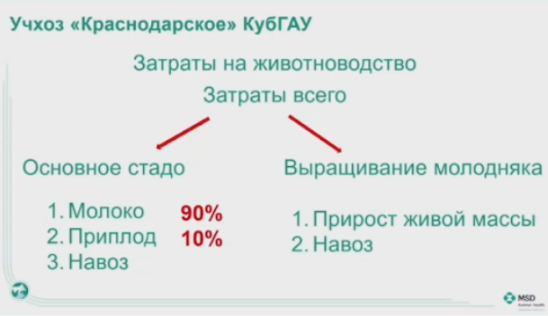 43.png