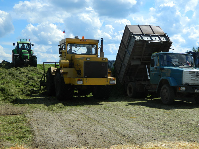 DSCN0723.JPG