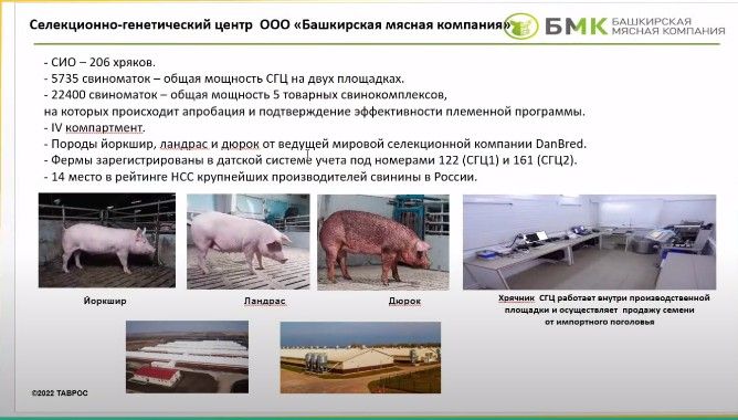 Рудь1 (1).jpg