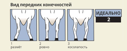 новые-параметры-2.jpg новые-параметры-2.jpg