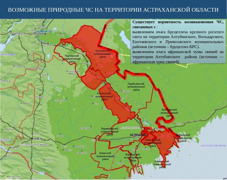 Бруцеллез КРС Астраханская область.jpg Бруцеллез КРС Астраханская область.jpg