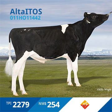 20201209-AltaITOS.jpg