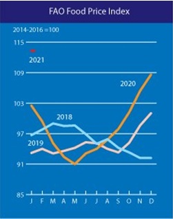 Т1 (2).jpg