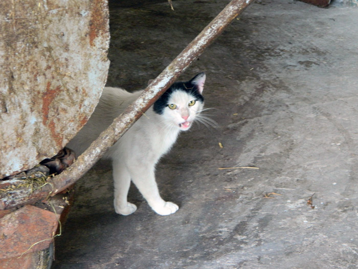 DSCN0898.JPG