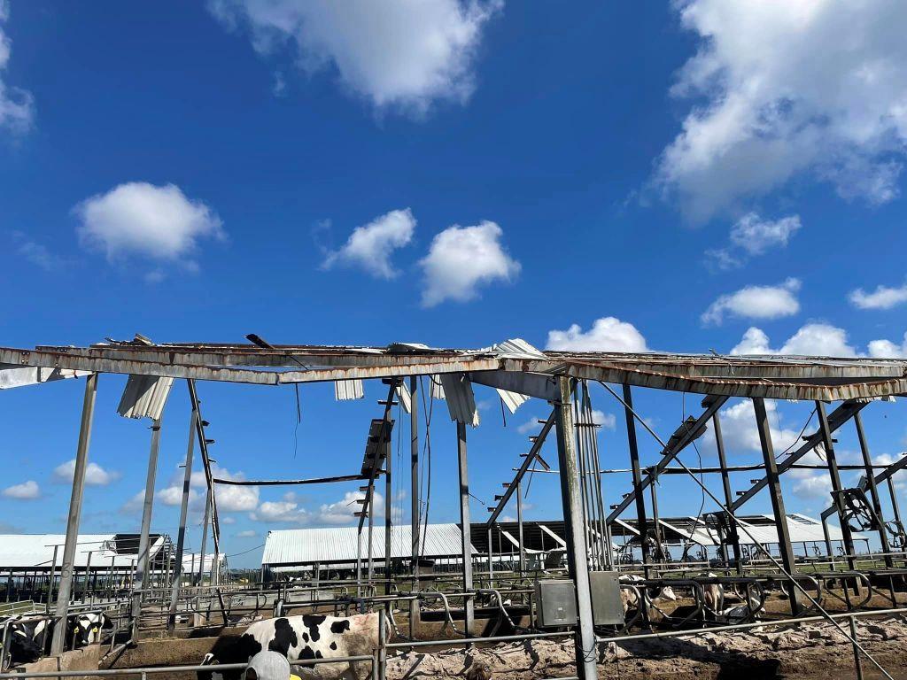 Dakin Dairy Farms lost more than 250 cows2.jpg