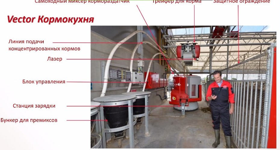 Л25.jpg