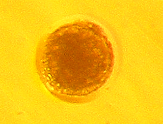 image26.png