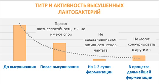 Губернатор Ярославля. Фотка (1).jpg