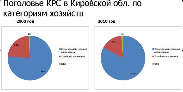 коровки1.JPG