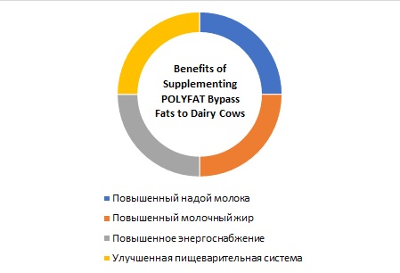 Р1.jpg