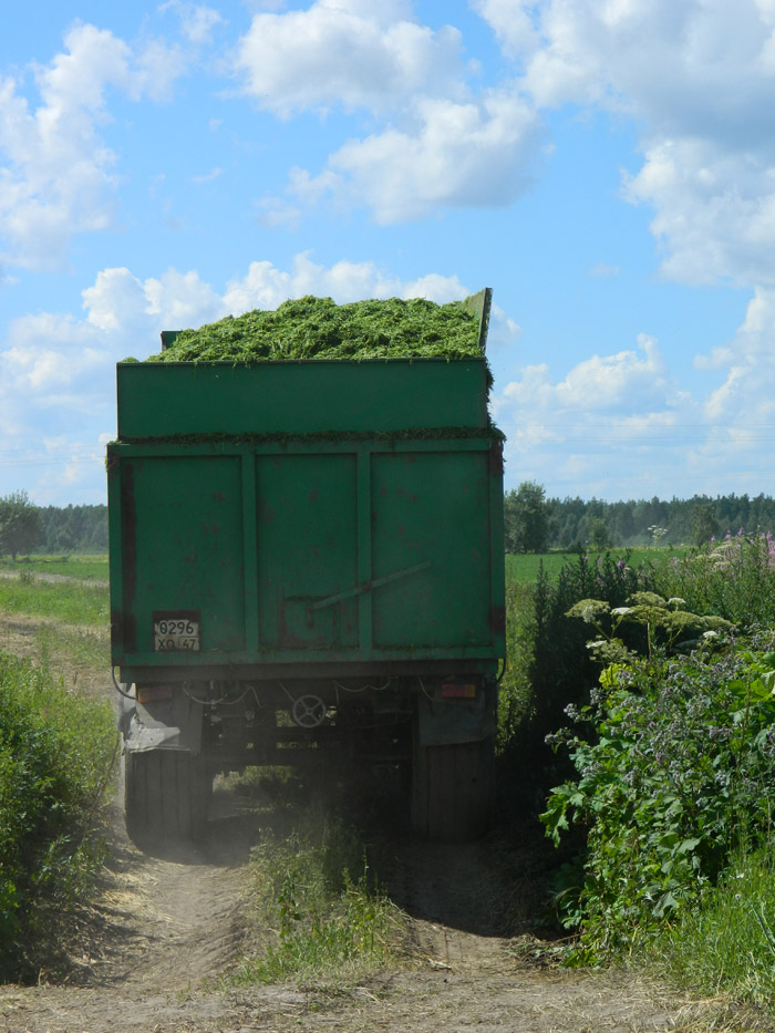 DSCN0715.JPG