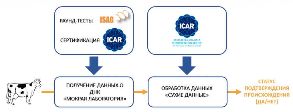 упс.png упс.png