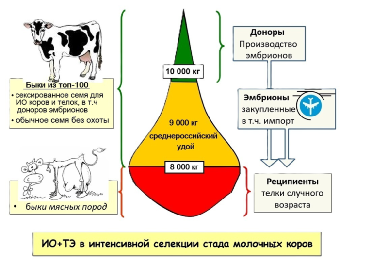 Фиг-2.png