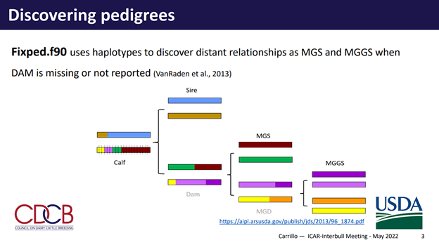 Using haplotypes to discover MGS and MGGS of dairy cows.png Using haplotypes to discover MGS and MGGS of dairy cows.png
