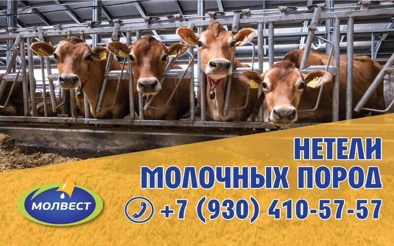 фото в конец с рекламой.jpg