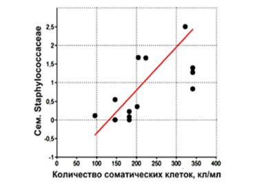 22122131у.png 22122131у.png