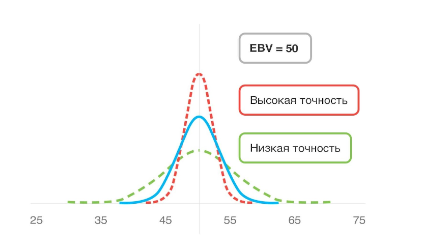 Распределение точности оценок племенной ценности.png