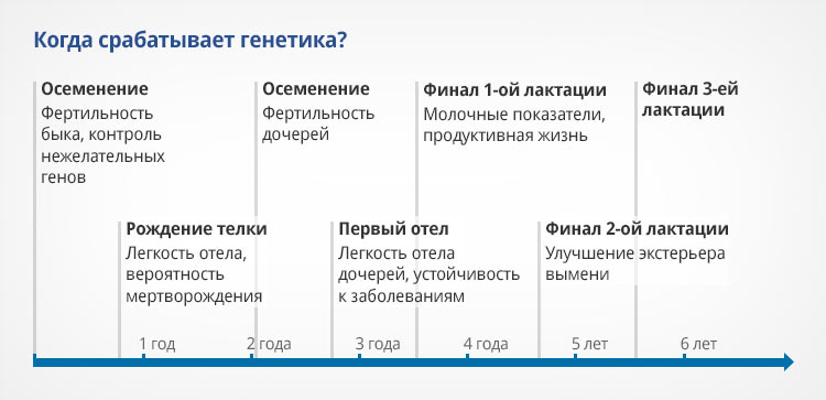 Graph-1.jpg Graph-1.jpg