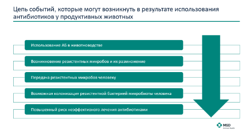 Безымянный.png